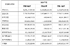 乐山工资清欠服务